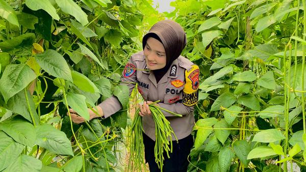 Kisah Inspiratif Brigpol Sufiana Maya, Polwan Cantik yang Sulap Pekarangan Warga jadi Kebun Sayur