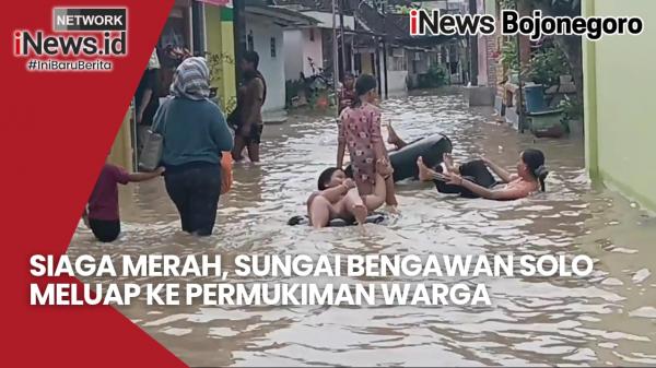 Siaga Merah, Sungai Bengawan Solo di Bojonegoro Meluap, Ratusan Rumah Terendam Banjir