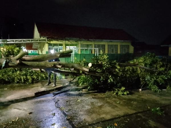 Damkar Kuningan Tangani Pohon Tumbang yang Nyaris Timpa Bangunan Gedung