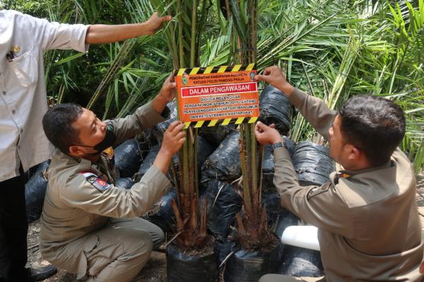 Pemda Segel Aktivitas Perusahaan Sawit yang Hendak Beroperasi di Kuningan