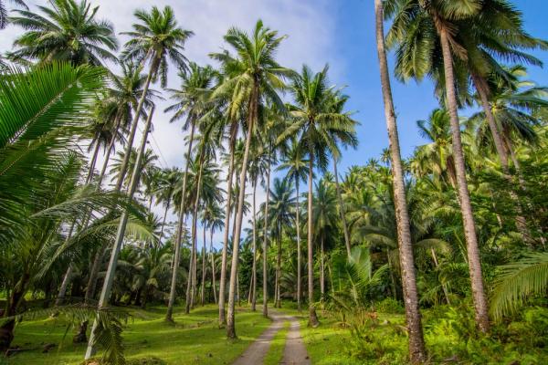 PT Raja Kebun Indonesia Tawarkan Industrialisasi Berbasis Kerakyatan di Kepulauan Kangean