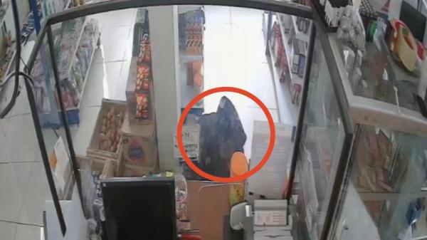Aksi Pencurian di Warung Brilink Pamijahan Tasikmalaya Terekam CCTV, Uang dan Rokok Raib