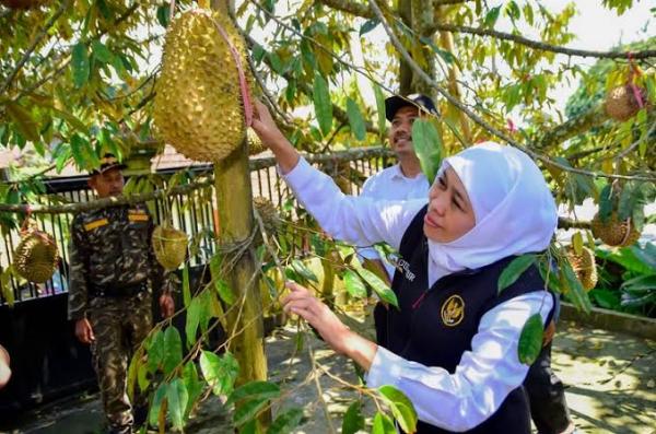 Khofifah Diserang Netizen, Dwi Astutiek Sebut Ada Barisan Sakit Hati