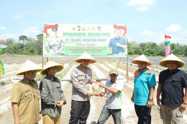 Polres Inhu Luncurkan Penanaman Jagung, Hasil Panen Akan Gandeng Bulog