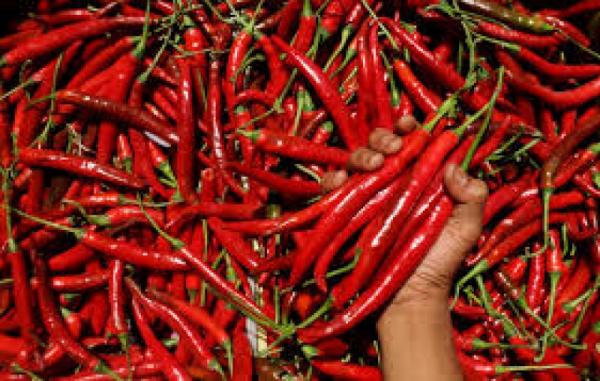 Harga Cabai di Pasar Banjar Naik Jelang Idul Adha, Pedagang Keluhkan Pasokan Terbatas