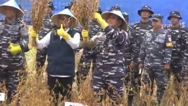 Keren! Kasal Panen Kedelai 4,5 Ton Sekaligus di 3 Wilayah, Bikin Impor Bisa Berkurang