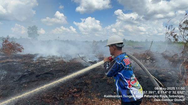Tim Dalkarhutla Dishut Kalteng Padamkan Kebakaran Lahan Lebih dari Satu Hektare di Kalampangan