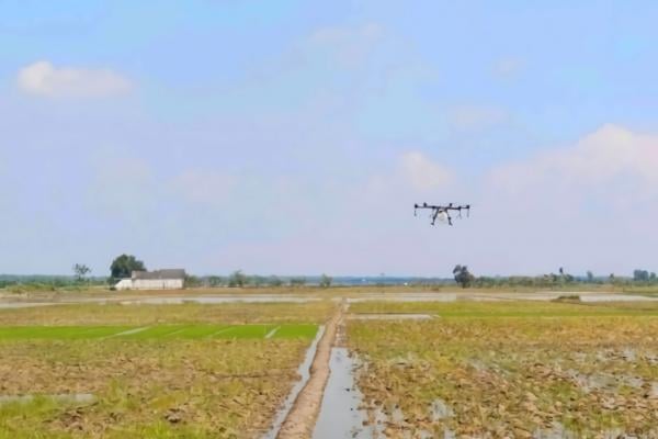 Bupati Bojonegoro Buat Drone Gratis untuk Petani, Dorong Pertanian Efisien dan Aman