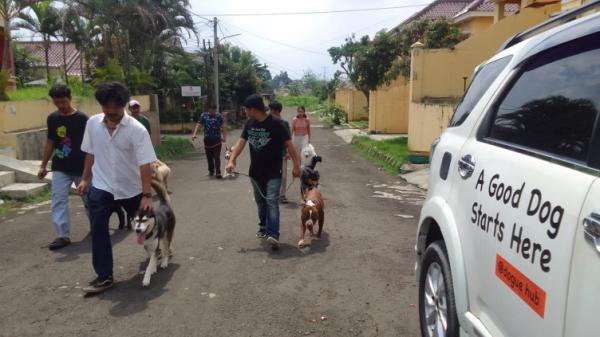 Sekolah Anjing, Tren Baru di Tengah Masyarakat Urban