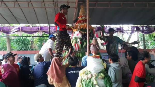 Tradisi Kirab Gunungan di Desa Saban: Warga Berebut Hasil Bumi Sebagai Ungkapan Syukur