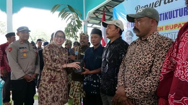 Pemkab Lumajang Salurkan 4.095 Bibit Durian Montong, Petani Desa Alun-Alun Sambut Optimis