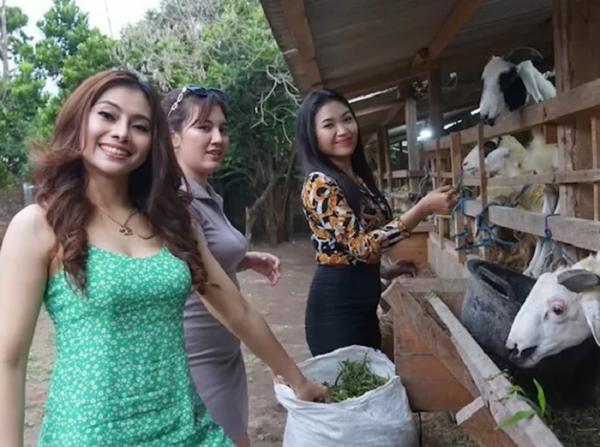 SPG Cantik Terlibat Penjualan Hewan Kurban