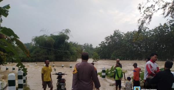 Banjir Terjang Bojonegoro: Rumah Hanyut dan 7 Ekor Kambing Mati di Purwosari