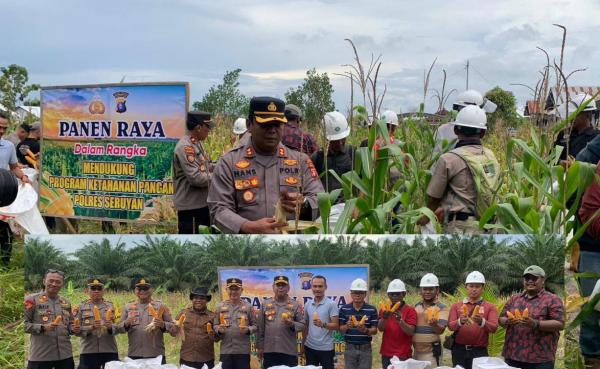 Polres Seruyan Panen Raya Jagung di Lahan 1,25 Hektare, Dukung Ketahanan Pangan Nasional
