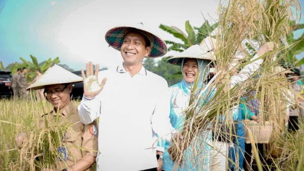 Panen Padi Organik, Bupati Bojonegoro: Tanah Subur dan Lebih Menguntungkan