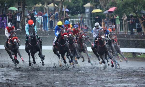 King Argentine Dekati Gelar Triple Crown 2025 usai Menangi Derby Serie 2 di Tegalwaton