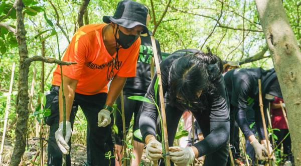 Puluhan Siswa Sekolah Tanam Ribuan Bibit Mangrove di Wonorejo