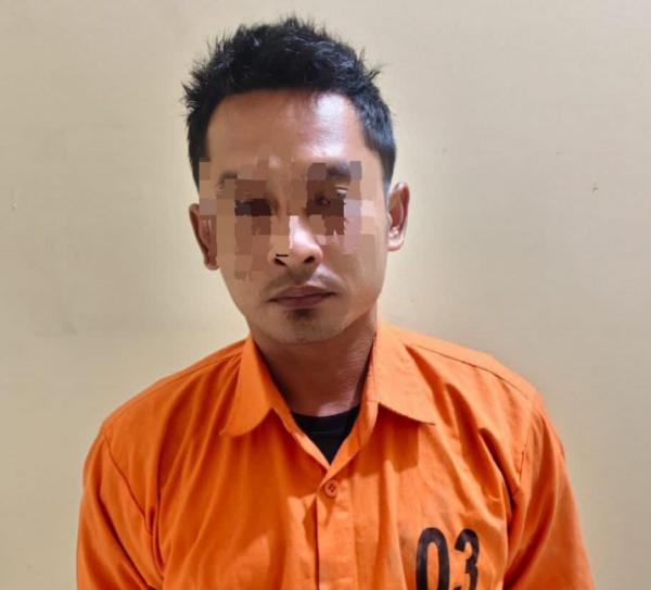 Polisi Tangkap Honorer Penipu Modus Jual Beli Mobil di Pringsewu