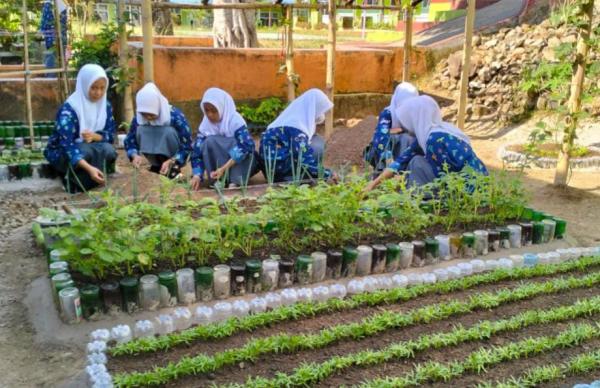 Kreatif! Potret Siswa-siswi SMAN 4 Sinjai Ubah Tempat Sampah Menjadi Taman dan Kebun Produktif