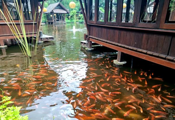 Melihat Lebih Dekat Restoran Bernuansa Alam di Tangsel dengan Hidangan Khas Nusantara