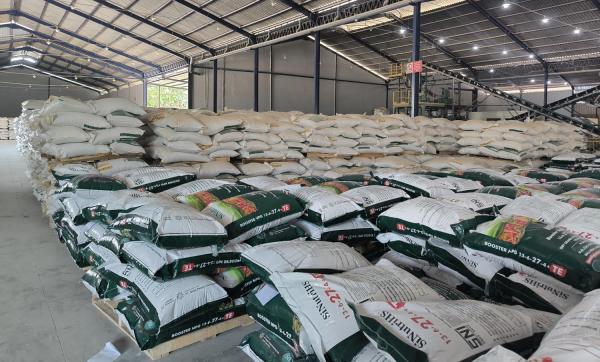 Nusa Palapa Gemilang Tbk Bangkit dari Kelesuan, Raup Untung Rp896 Juta di Q1 2025