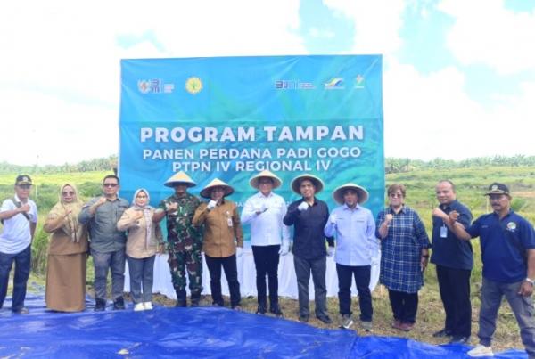 Panen Raya Perdana Padi Gogo di Jambi: Sinergi RSI dan PTPN IV PalmCo Wujudkan Ketahanan Pangan