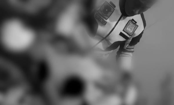 header img