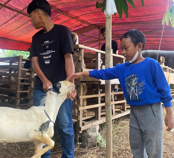 Program Cicilan Qurban Rp10 Ribu Hadir di Cilegon, BQB Permudah Warga Berqurban