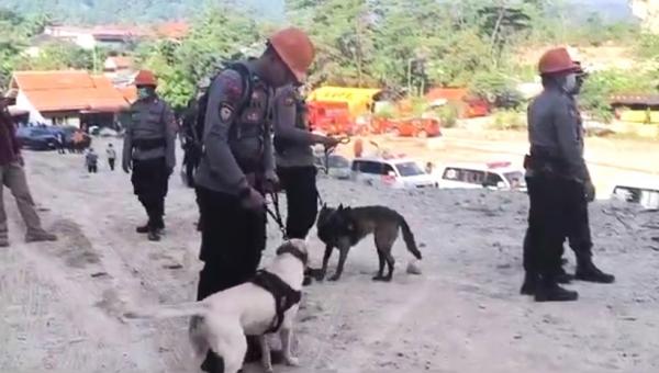 Anjing Pelacak Garda Terdepan Cari Korban di Gunung Kuda, Perempuan Penjual Es Turut Tertimbun