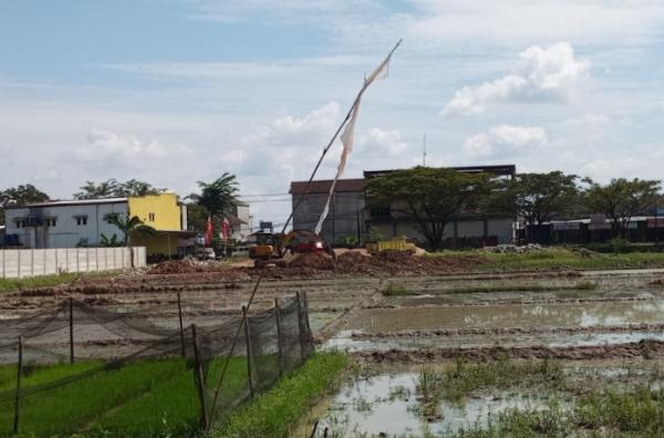 Warga Tambahrejo Kecewa, DPRD Tak Kunjungi Lokasi Penimbunan Sawah