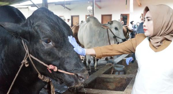 Sidoarjo Terima Sapi Kurban 1,08 Ton dari Presiden Prabowo, Ini yang Dikatakan Mimik Idayana