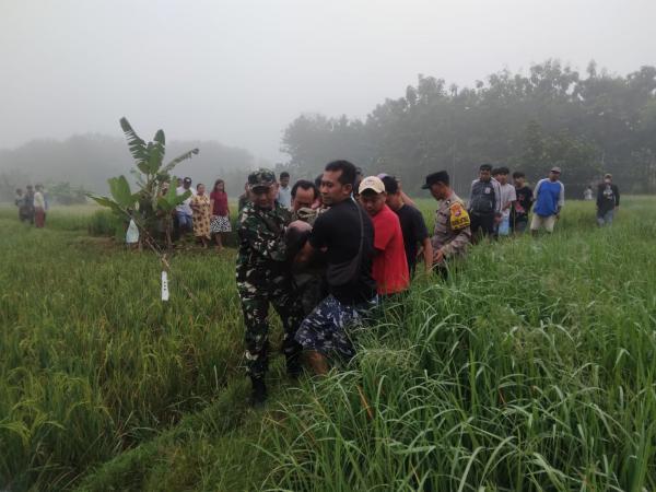 Ingin Usir Tikus, Petani Bojonegoro Ini Justru Tewas Tersengat Aliran Listrik di Sawah
