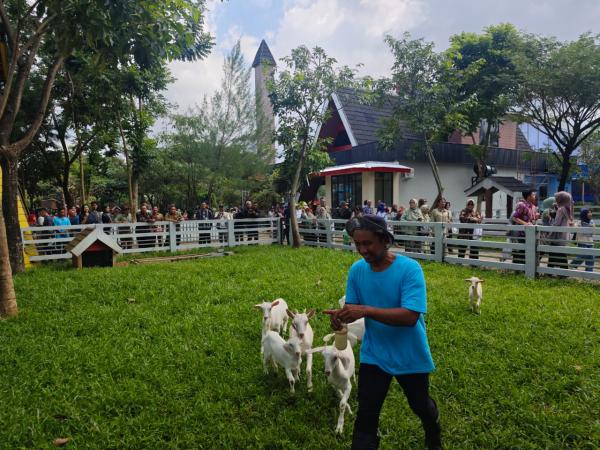 Provit Farm Village, Perah Susu Kambing dan Rekreasi di Alam yang Asri