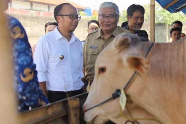 Pemkot Tasikmalaya Perketat Pemeriksaan Hewan Kurban Jelang Idul Adha 1446 H