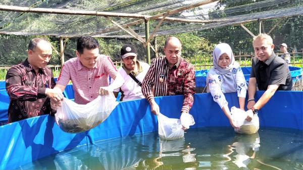 Banyumas Perkuat Ketahanan Pangan Lewat Hibah Bibit Ikan dan Ternak