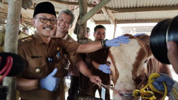 Stok Hewan Kurban Kurang, Pemda Berinisiatif Datangkan dari Luar Indramayu