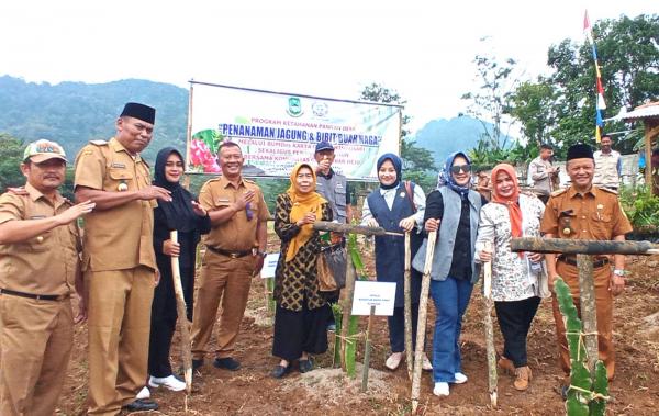 Srikandi Komisi II DPRD Kompak Dukung Pelestarian Lingkungan dan Ketahanan Pangan
