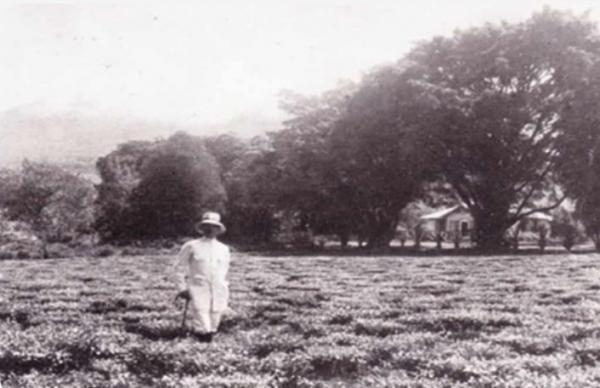 Ini Sebab Kasus Tanah Bermunculan di Bedahan dan Pasir Putih Depok, Vakumnya sang Tuan Tanah