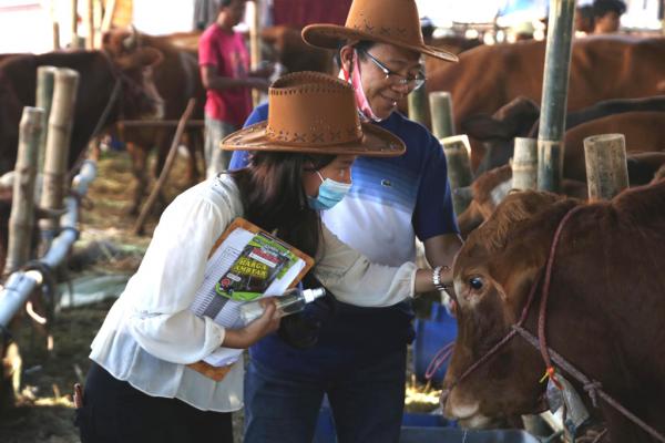 Pilih Hewan Kurban yang Sehat dan Berkualitas, Ini Tips dari Dosen UNAIR