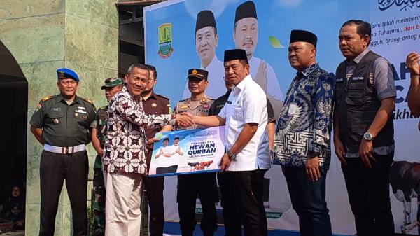 Sumbangan Hewan Kurban di 