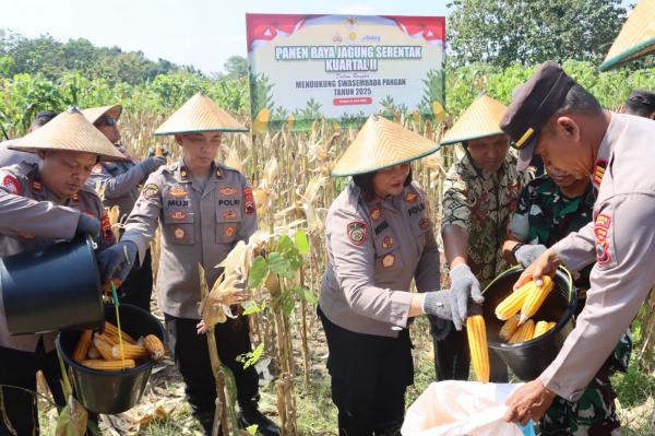 Polres Sragen Dukung Ketahanan Pangan Lewat Panen Raya Jagung Serentak Nasional 2025
