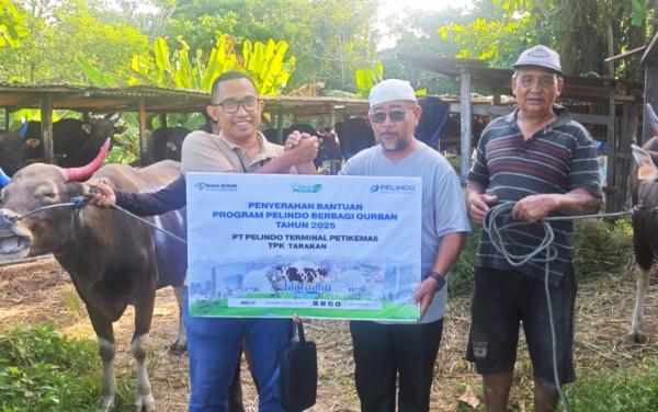 Sambut Iduladha 1446 H, Pelindo Terminal Petikemas Siapkan 30 Juru Sembelih Halal Bersertifikat BNSP