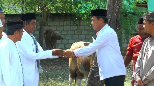Perindo Salurkan Hewan Kurban di Keerom Papua, Wujudkan Program 1 Juta Kantong Kebahagiaan
