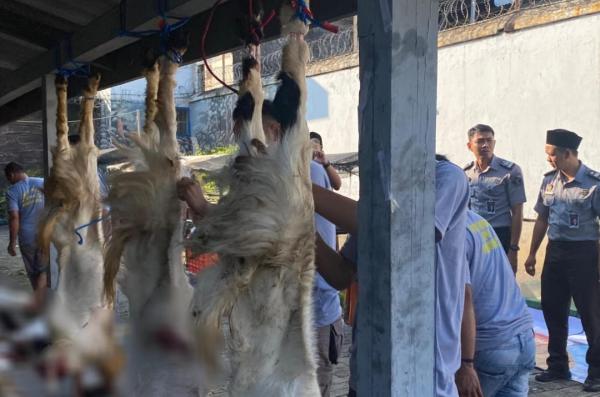 Kurban Dibalik Jeruji Lapas Mojokerto, 12 Kambing dan 3 Ekor Sapi Disembelih Kurban Dibalik Jeruji Lapas Mojokerto, 12 Kambing dan 3 Ekor Sapi Disembelih