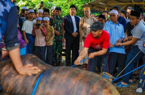 Wali Kota Dedie Rachim Saksikan Penyembelihan Hewan Kurban dari Presiden Prabowo Subianto