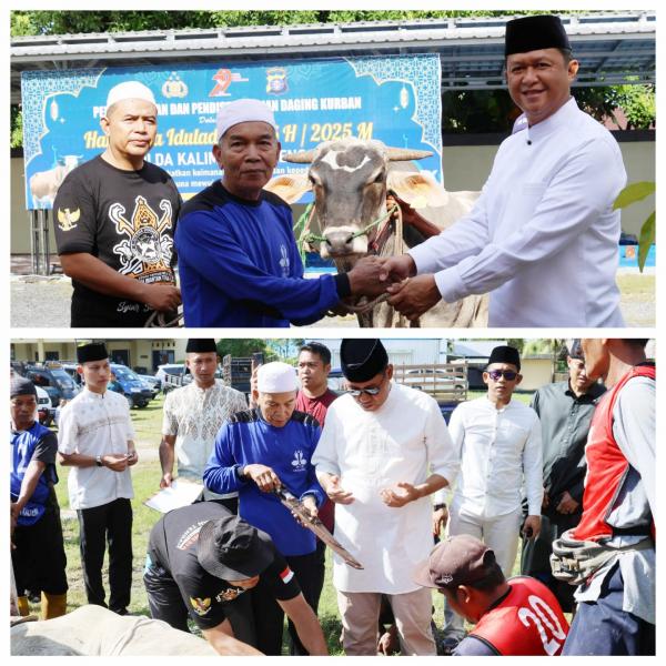 Polda Kalteng Sembelih 64 Hewan Kurban Usai Salat Idul Adha 1446 H