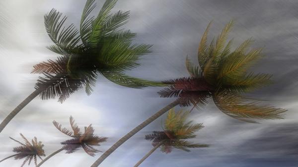 header img