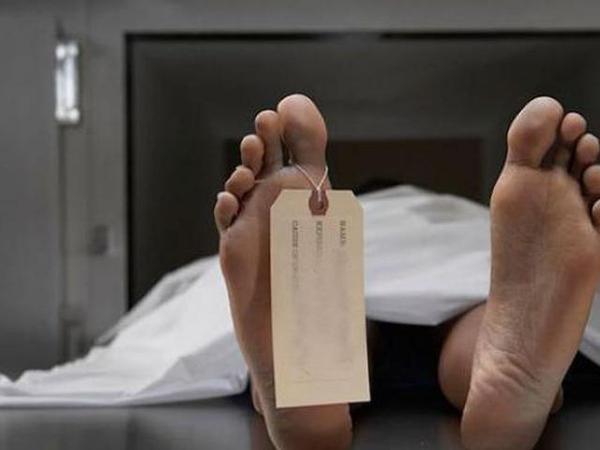 Innalillahi, Kakek 84 Tahun Meninggal usai Ditendang dan Diinjak Sapi Kurban
