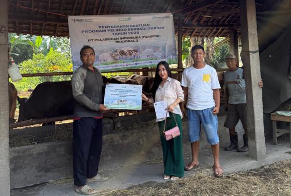 Pelindo Salurkan 924 Hewan Kurban di Momen Idul Adha 1446 H