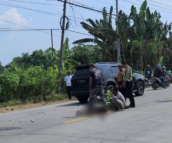 Kecelakaan Maut di Jalan Bojonegoro–Cepu, Seorang Kakek Meninggal Dunia